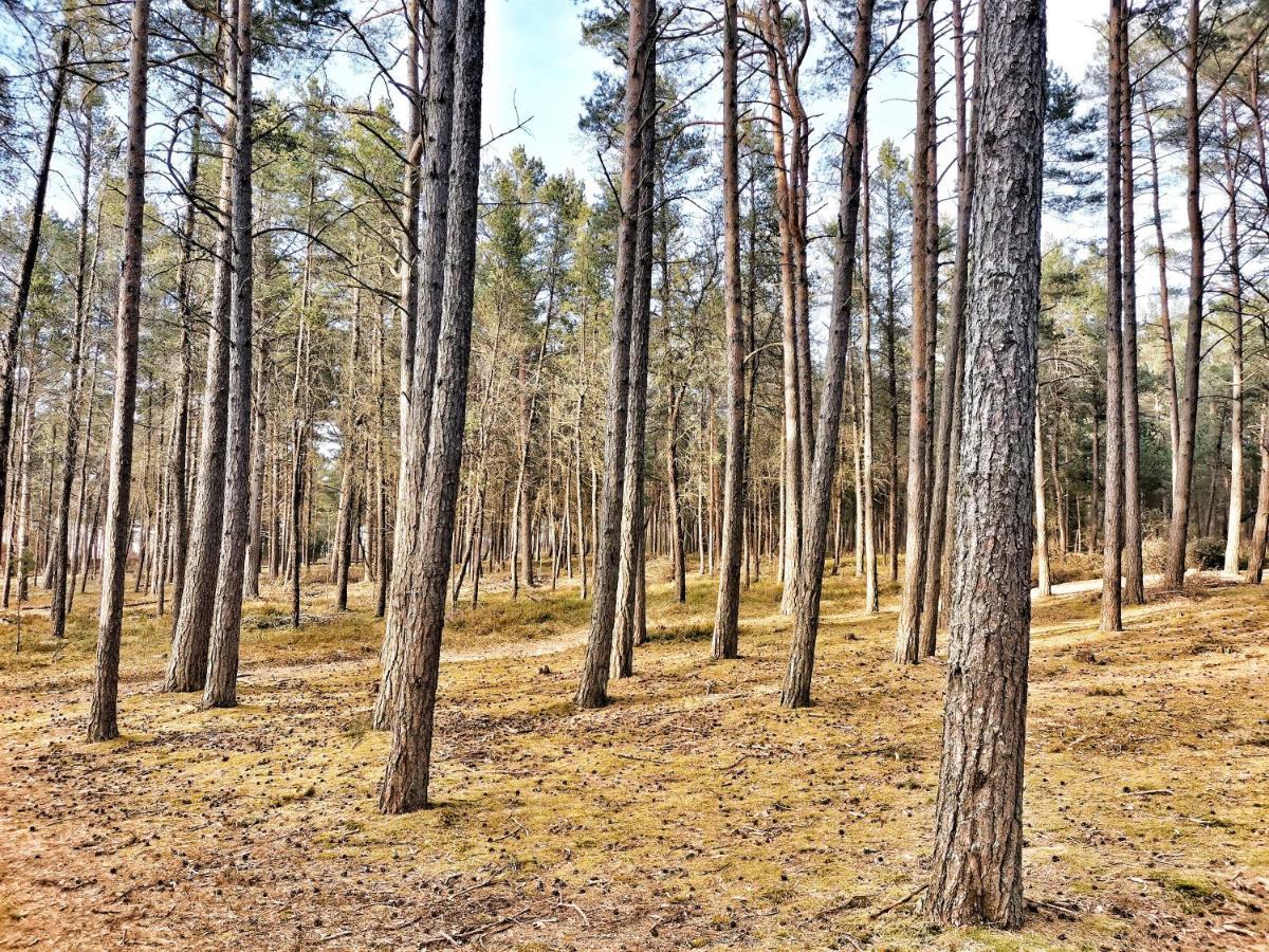 Bursztynowa Osada Domek letniskowy Kopalino