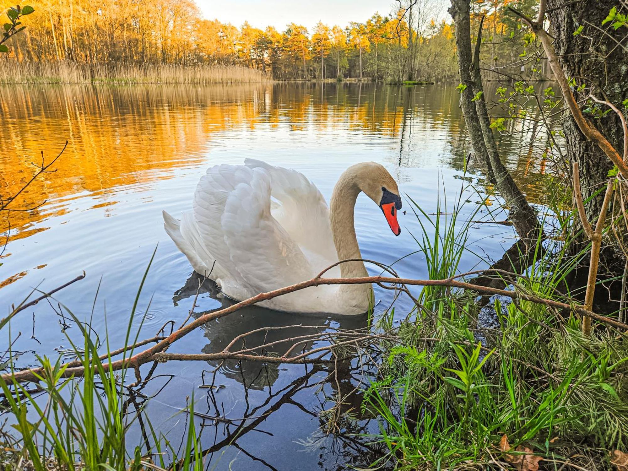 Bursztynowa Osada Domek letniskowy